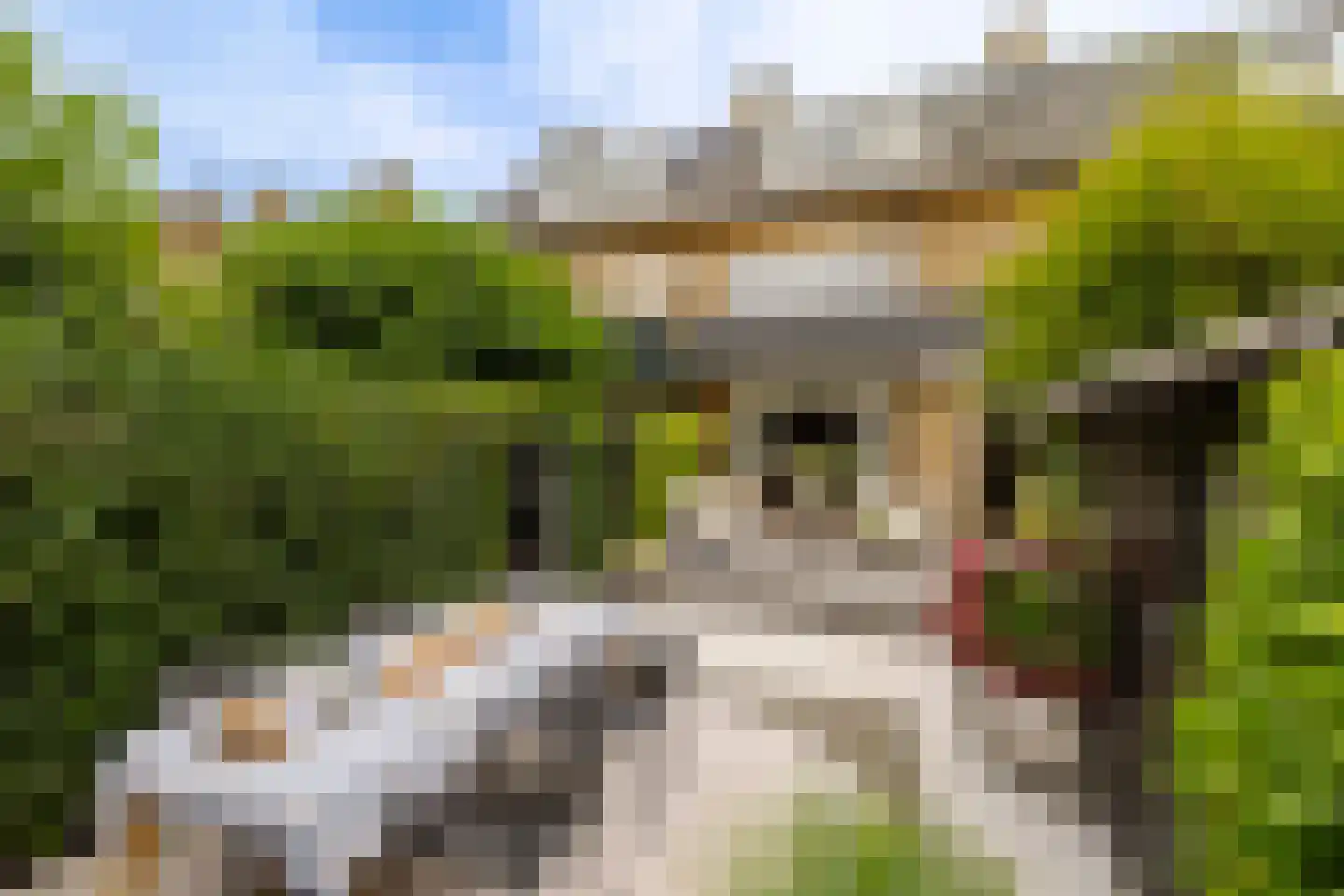 Lodewijk van Deyssellaan 196 Haarlem thumbnail 18
