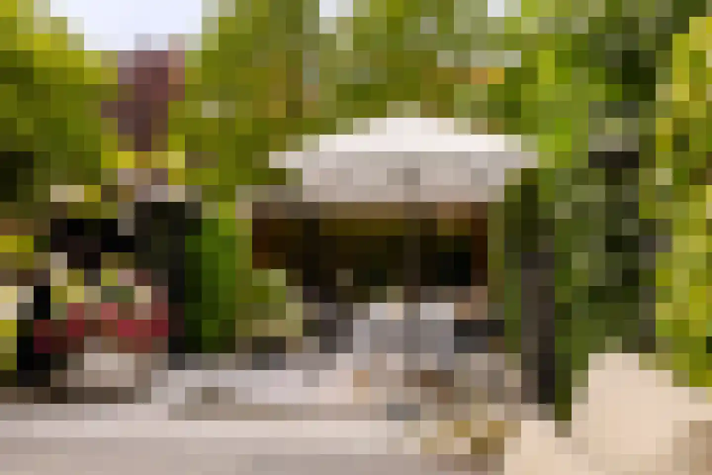 Lodewijk van Deyssellaan 196 Haarlem thumbnail 20