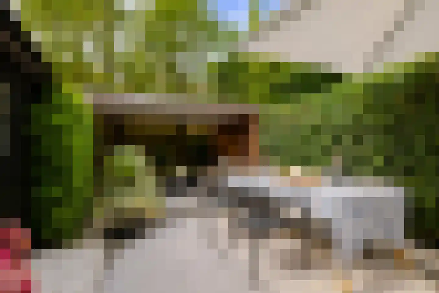 Lodewijk van Deyssellaan 196 Haarlem thumbnail 21