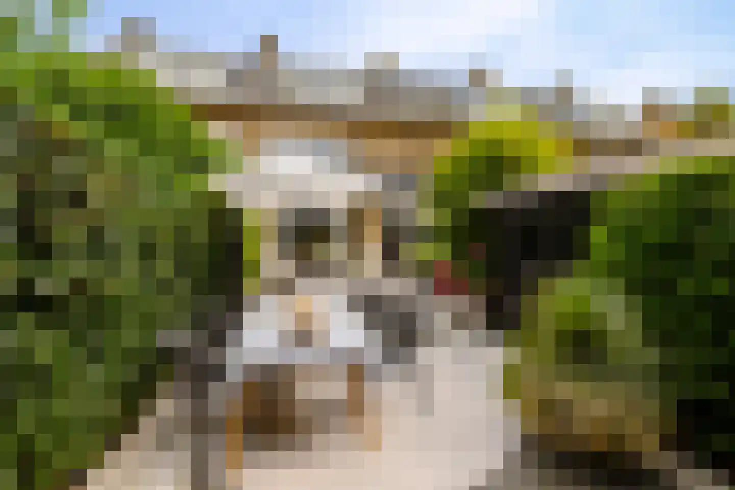 Lodewijk van Deyssellaan 196 Haarlem thumbnail 25