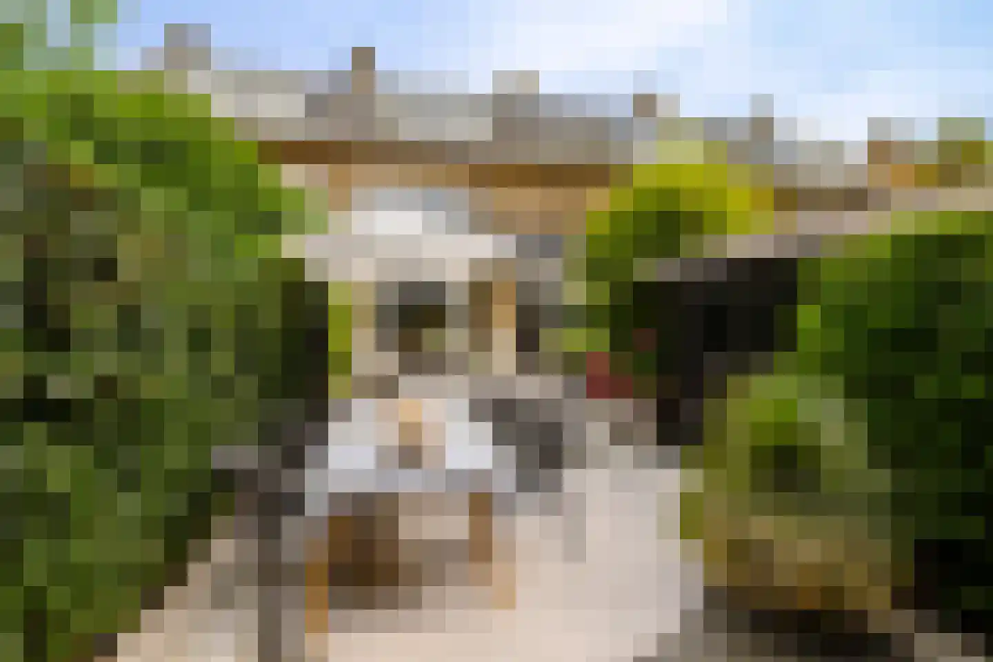 Lodewijk van Deyssellaan 196 Haarlem thumbnail 25