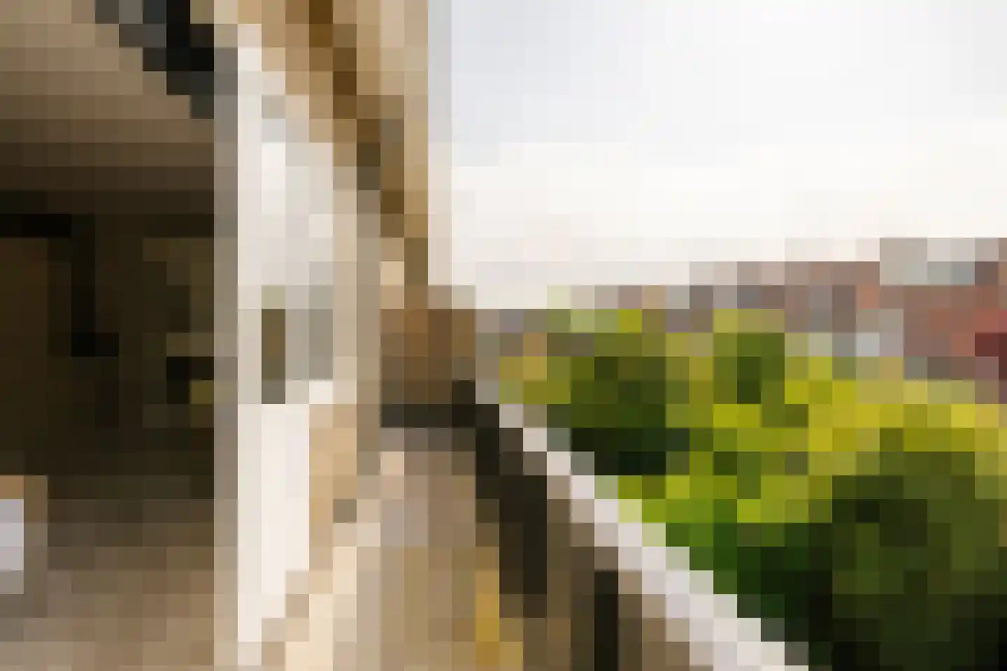 Lodewijk van Deyssellaan 196 Haarlem thumbnail 31