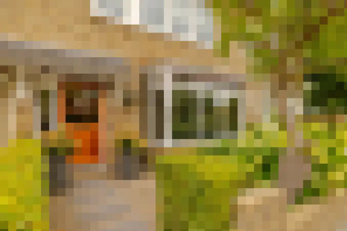 Lodewijk van Deyssellaan 196 Haarlem thumbnail 49
