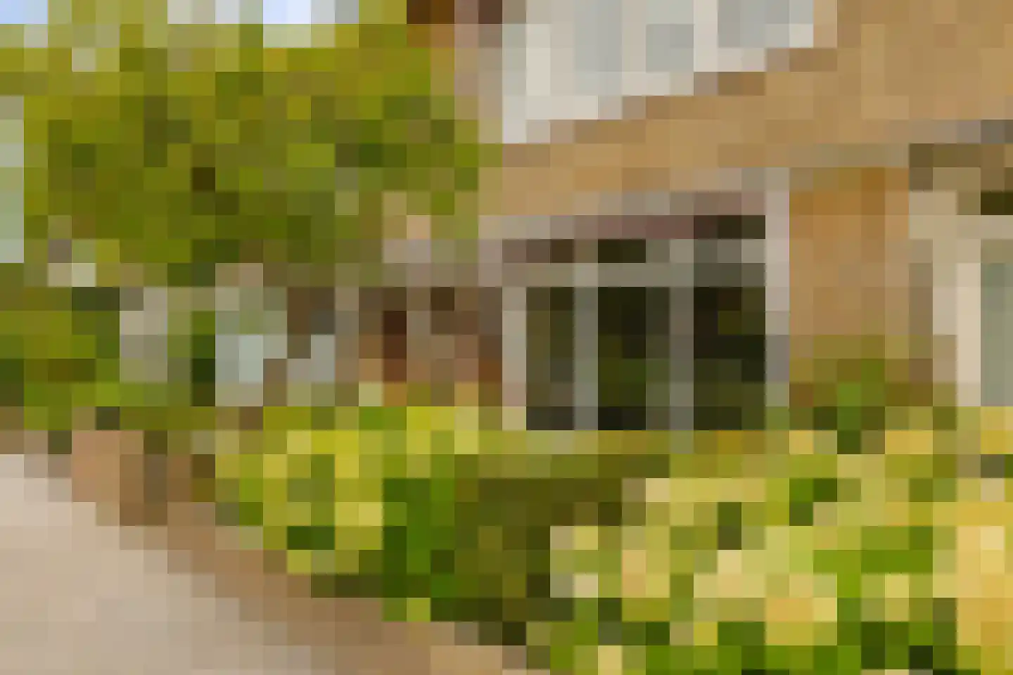 Lodewijk van Deyssellaan 196 Haarlem thumbnail 50