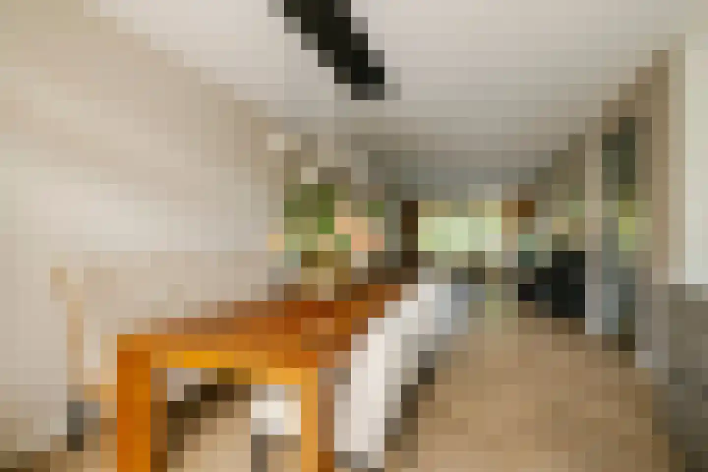 Lodewijk van Deyssellaan 196 Haarlem thumbnail 9