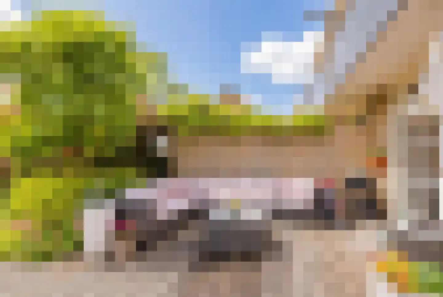 Lodewijk van Deyssellaan 204 Haarlem thumbnail 14