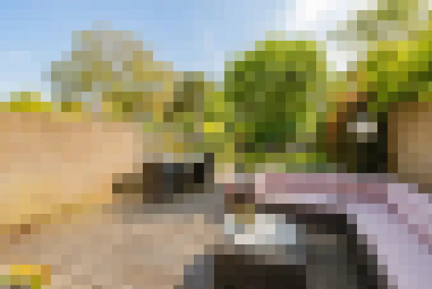 Lodewijk van Deyssellaan 204 Haarlem thumbnail 16