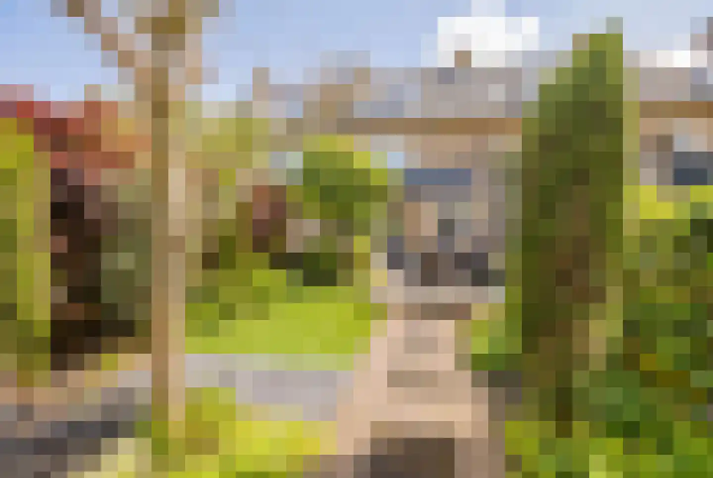 Lodewijk van Deyssellaan 204 Haarlem thumbnail 17