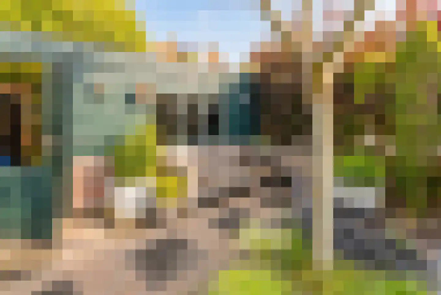 Lodewijk van Deyssellaan 204 Haarlem thumbnail 18