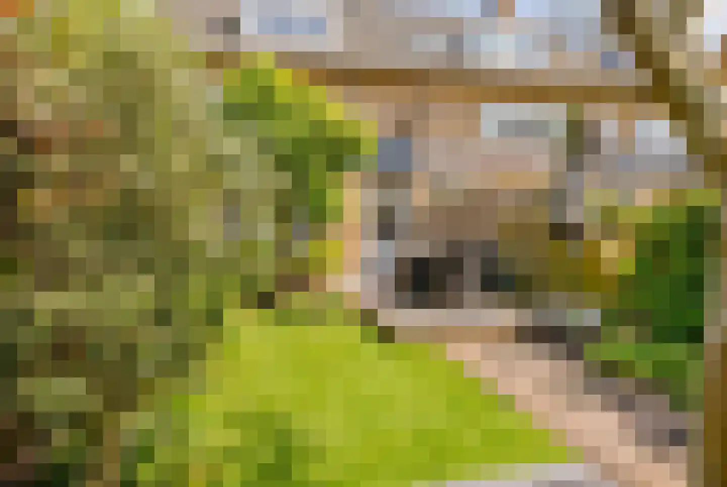 Lodewijk van Deyssellaan 204 Haarlem thumbnail 19