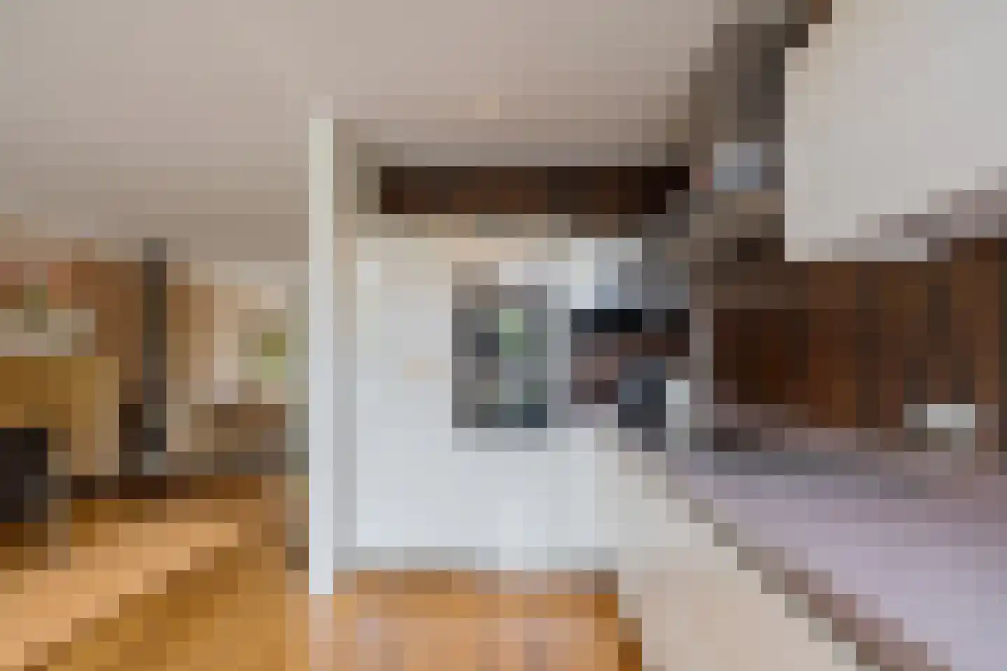 Lodewijk van Deyssellaan 204 Haarlem thumbnail 37