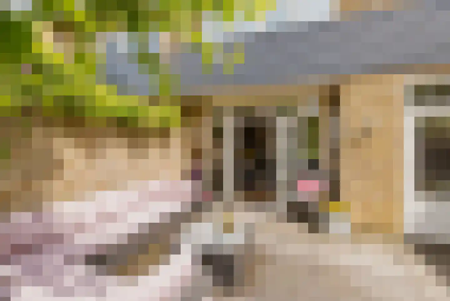Lodewijk van Deyssellaan 204 Haarlem thumbnail 38