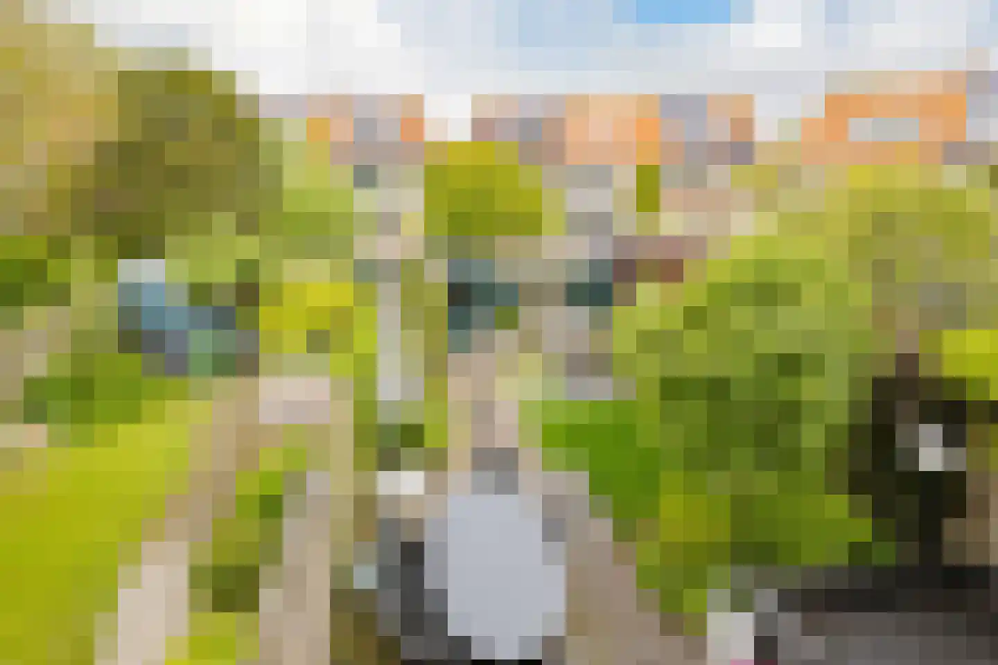 Lodewijk van Deyssellaan 204 Haarlem thumbnail 49