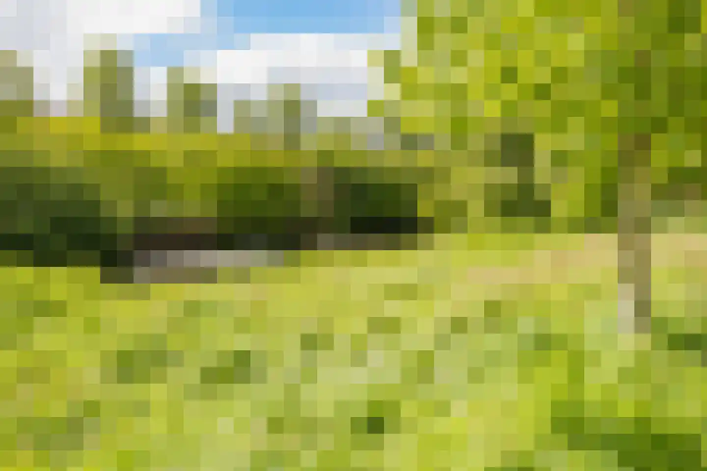 Lodewijk van Deyssellaan 204 Haarlem thumbnail 6