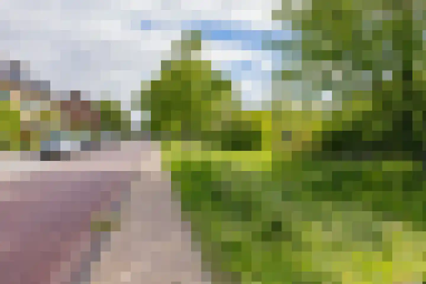 Lodewijk van Deyssellaan 204 Haarlem thumbnail 7
