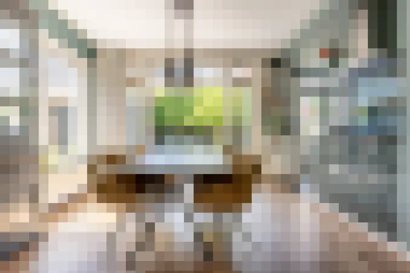 Lodewijk van Deyssellaan 208 Haarlem thumbnail 10