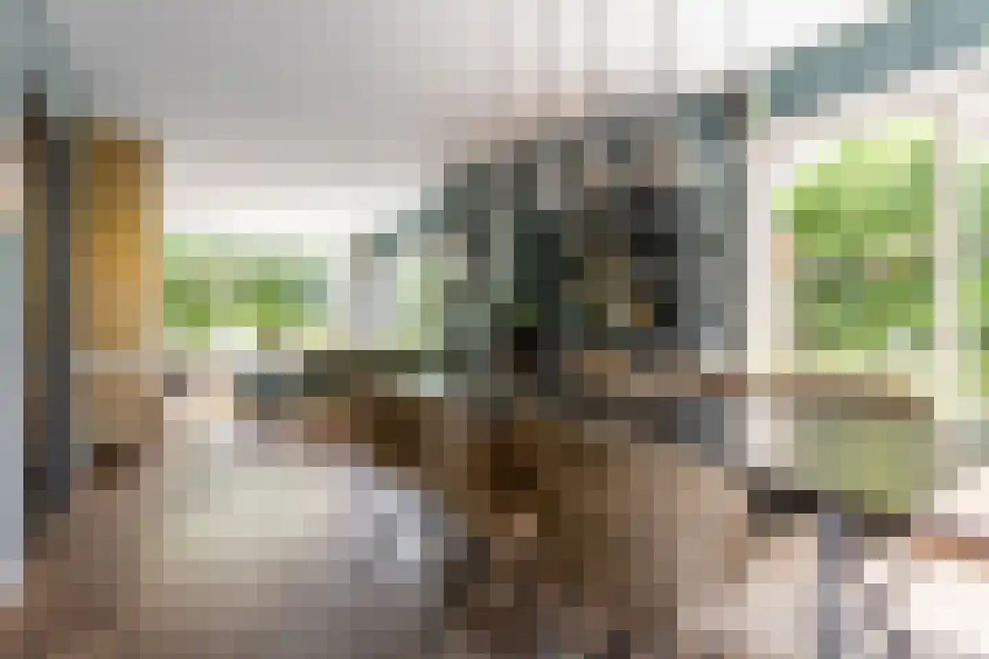 Lodewijk van Deyssellaan 208 Haarlem thumbnail 11