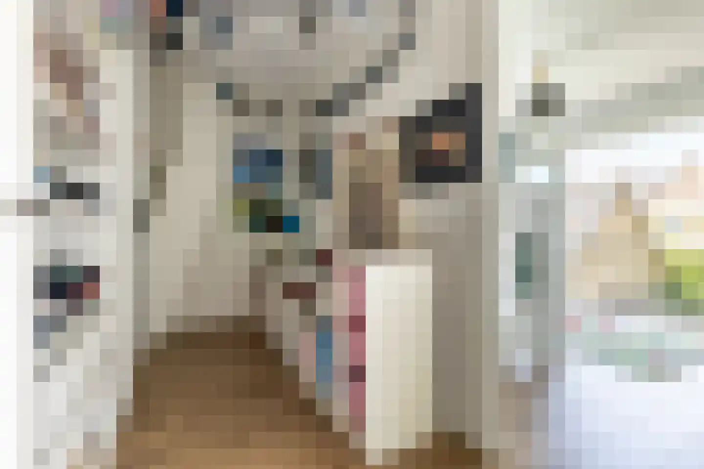 Lodewijk van Deyssellaan 208 Haarlem thumbnail 17