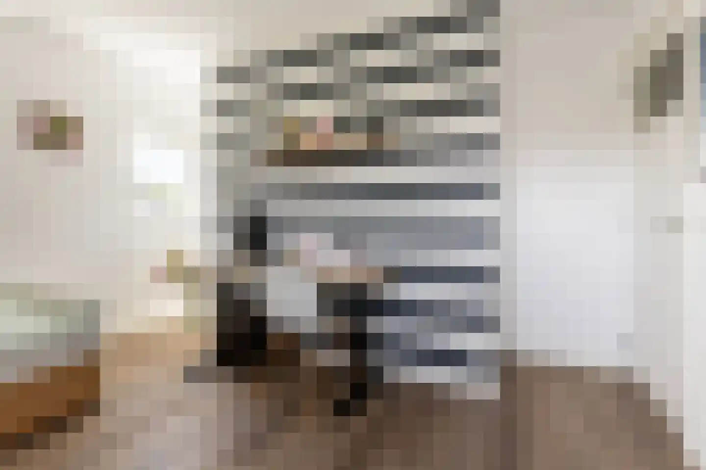 Lodewijk van Deyssellaan 208 Haarlem thumbnail 31