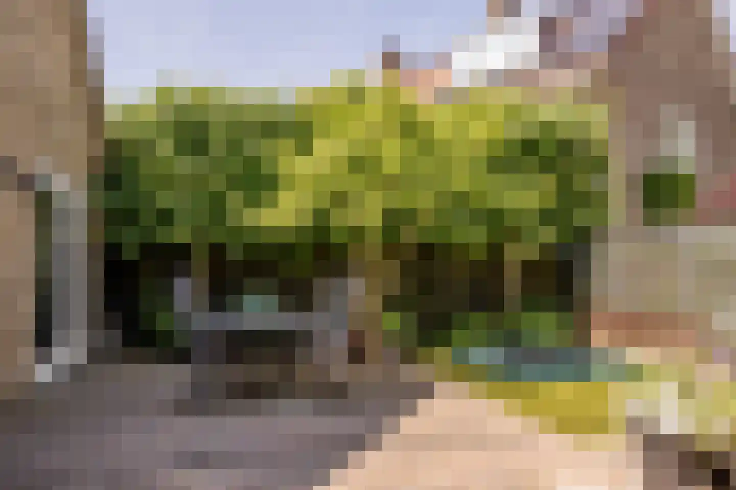 Lodewijk van Deyssellaan 208 Haarlem thumbnail 35