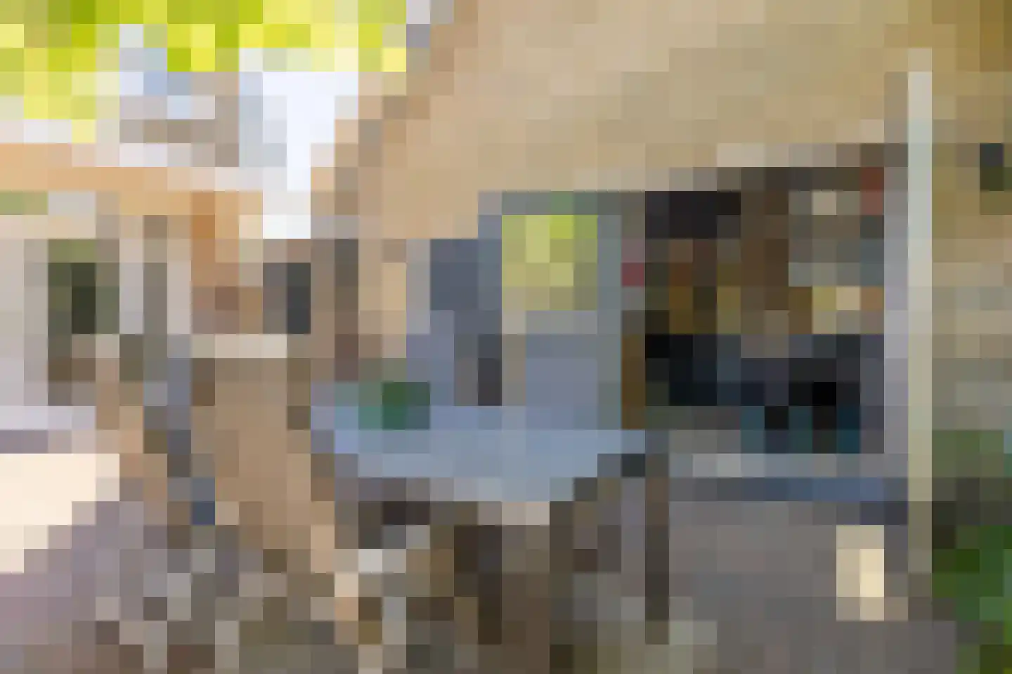 Lodewijk van Deyssellaan 208 Haarlem thumbnail 37
