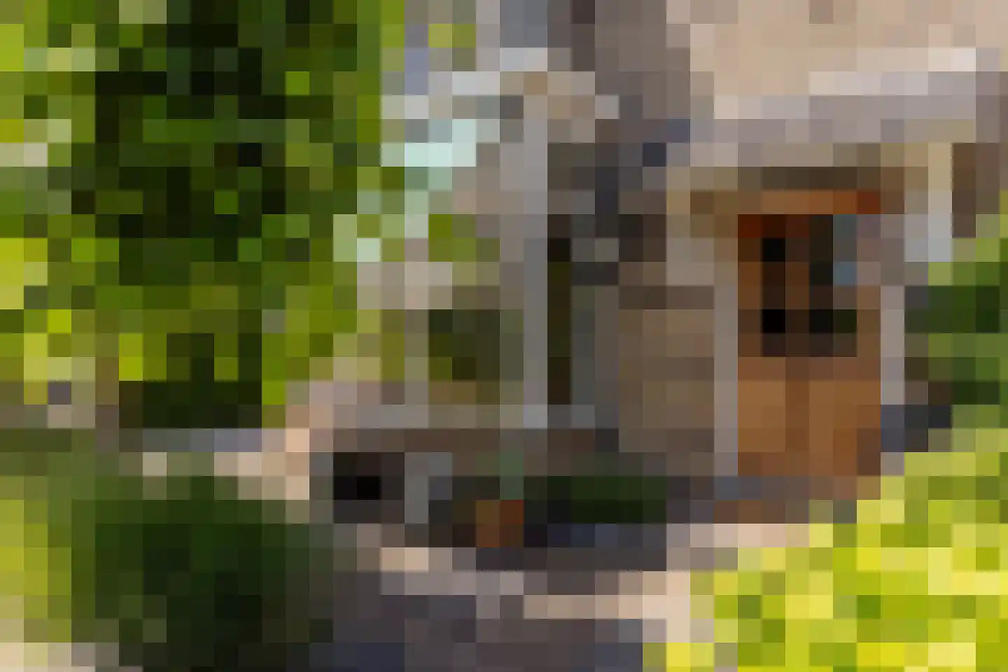 Lodewijk van Deyssellaan 208 Haarlem thumbnail 5