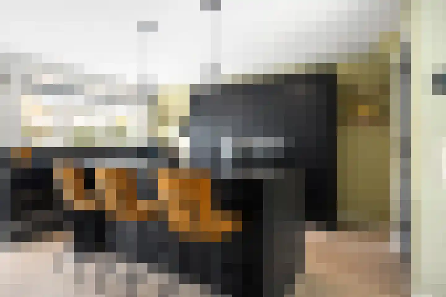 Lodewijk van Deyssellaan 252 Haarlem thumbnail 12