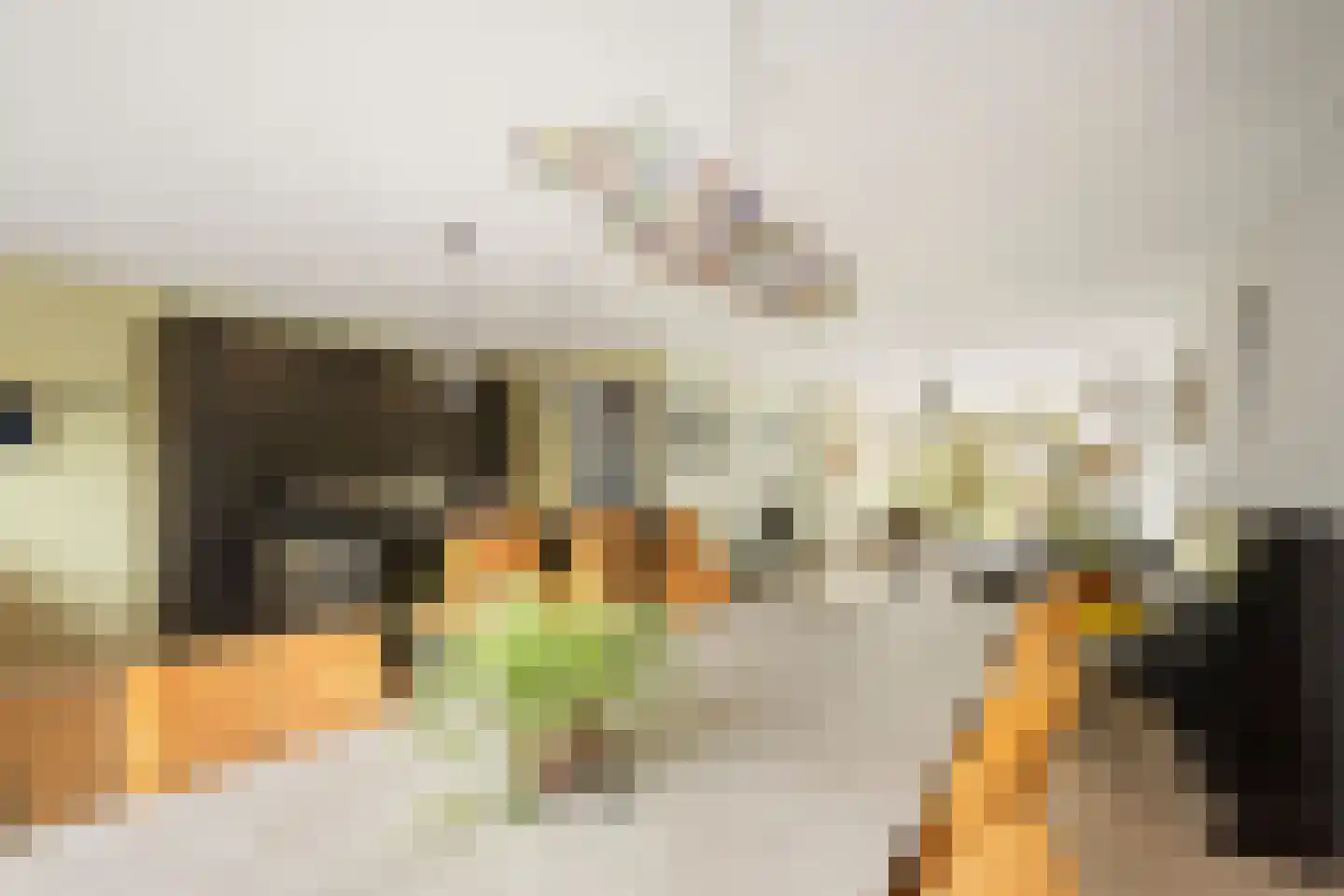 Lodewijk van Deyssellaan 252 Haarlem thumbnail 19