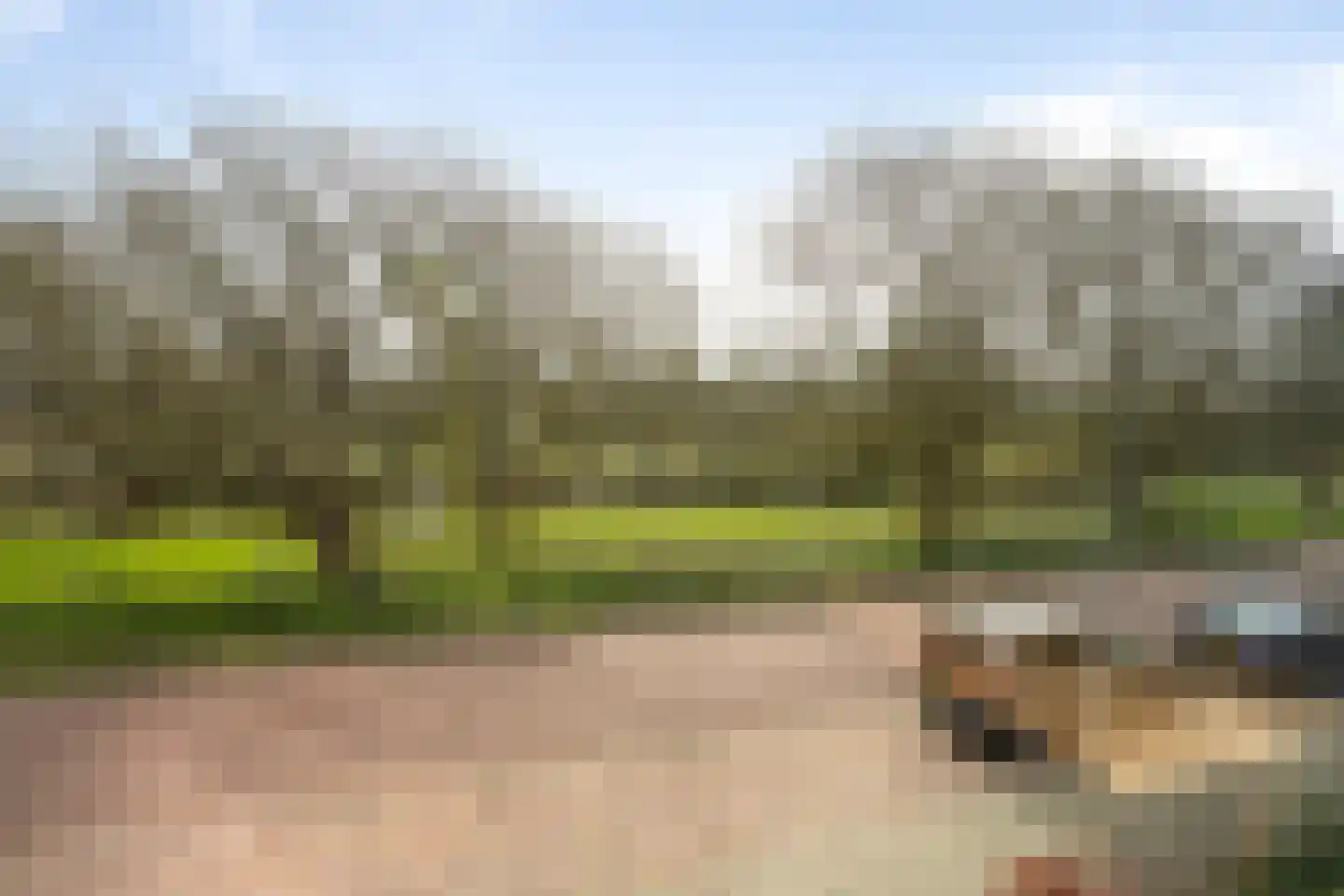 Lodewijk van Deyssellaan 252 Haarlem thumbnail 33