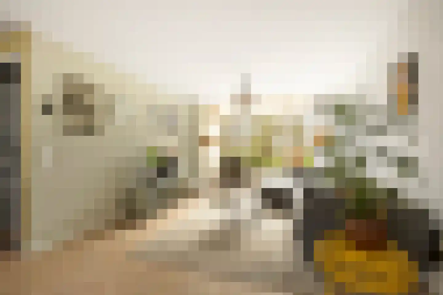 Lodewijk van Deyssellaan 252 Haarlem thumbnail 7