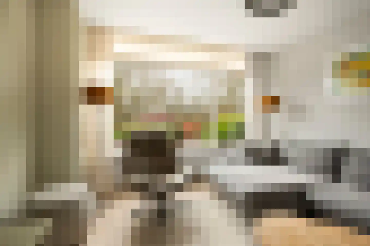 Lodewijk van Deyssellaan 252 Haarlem thumbnail 8