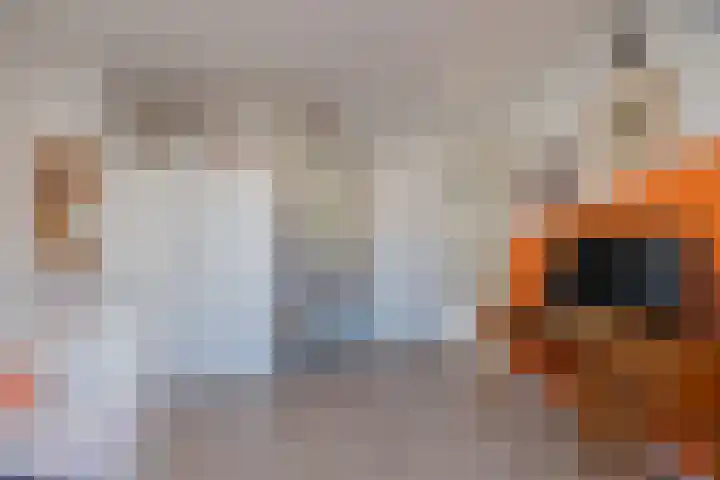 Lodewijk van Deyssellaan 36 Hillegom thumbnail 29