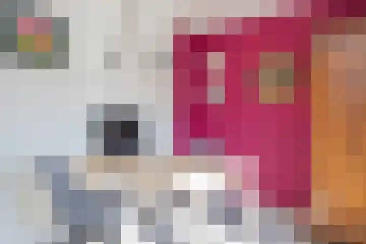 Lodewijk van Deyssellaan 36 Hillegom thumbnail 32