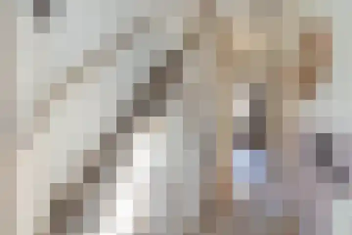 Lodewijk van Deyssellaan 36 Hillegom thumbnail 4