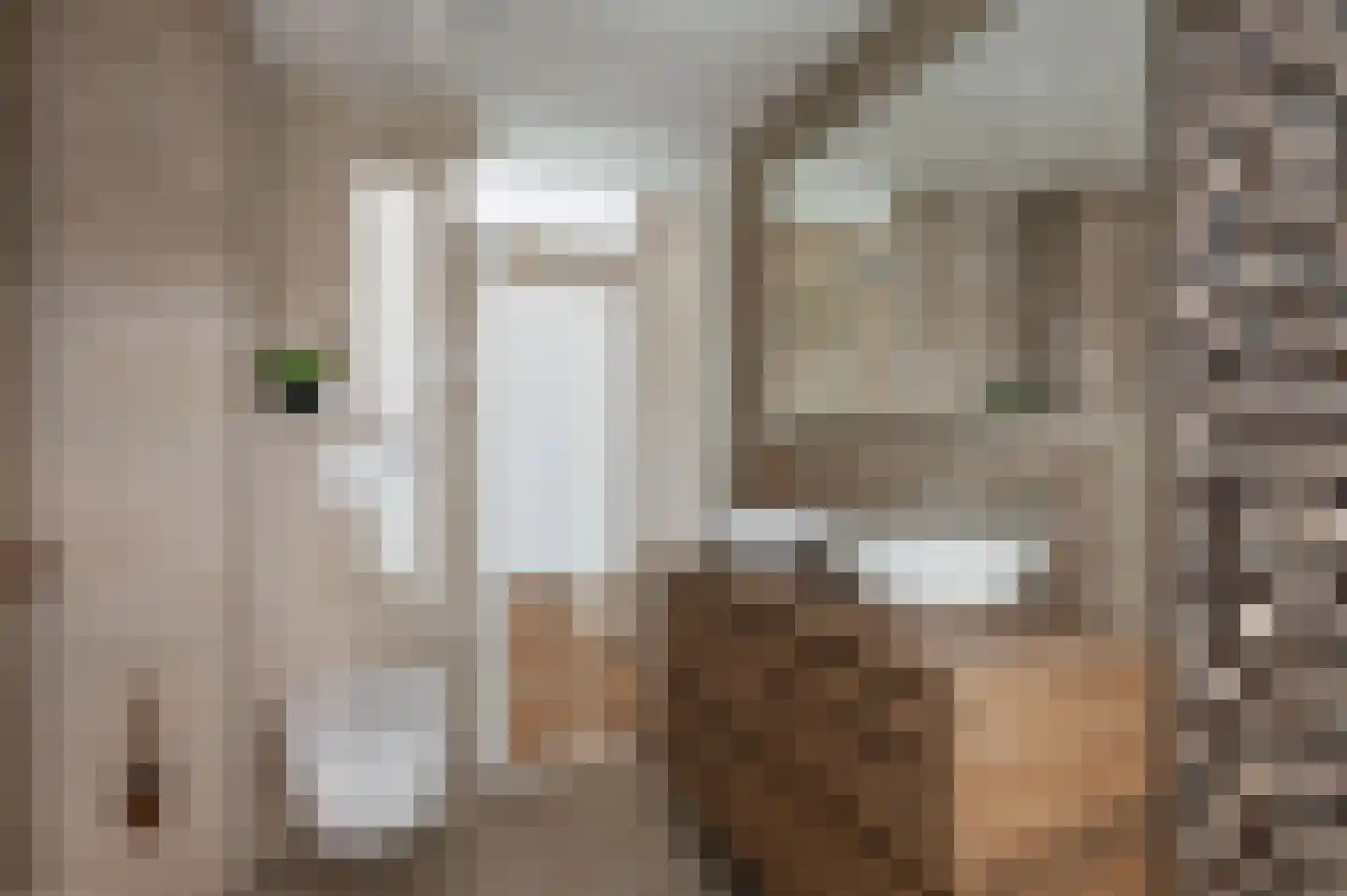 Lodewijk van Deyssellaan 44 Hillegom thumbnail 20