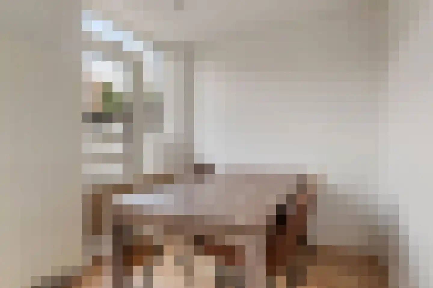 Lodewijk van Deyssellaan 44 Hillegom thumbnail 9