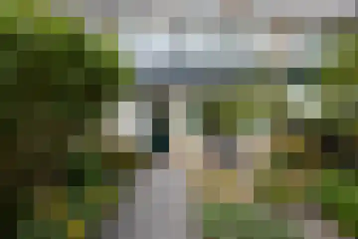Lodewijk van Deyssellaan 57 Driehuis NH thumbnail 10