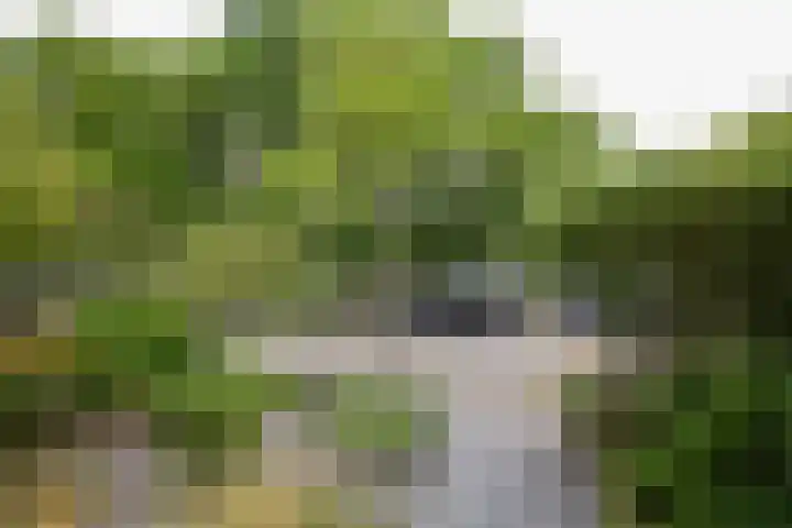 Lodewijk van Deyssellaan 57 Driehuis NH thumbnail 11