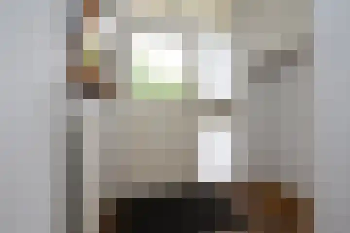 Lodewijk van Deyssellaan 57 Driehuis NH thumbnail 13
