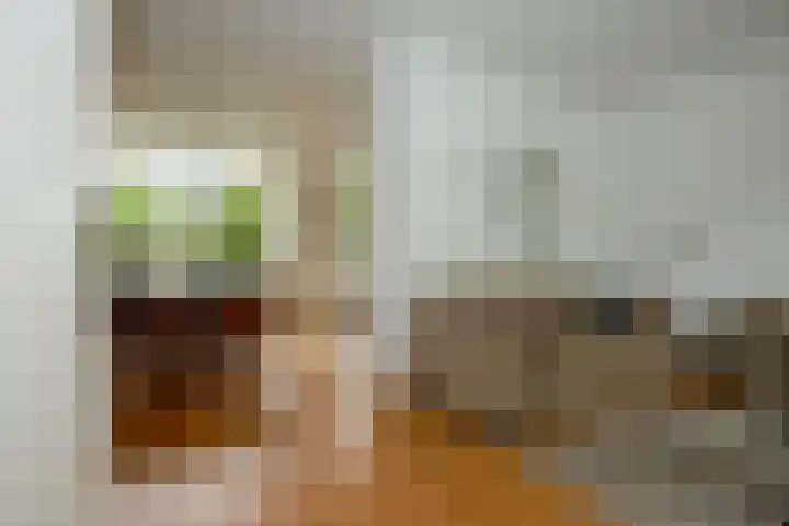 Lodewijk van Deyssellaan 57 Driehuis NH thumbnail 15