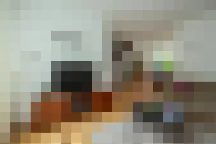 Lodewijk van Deyssellaan 57 Driehuis NH thumbnail 19