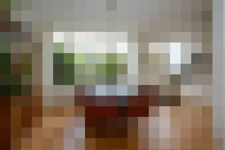 Lodewijk van Deyssellaan 57 Driehuis NH thumbnail 21