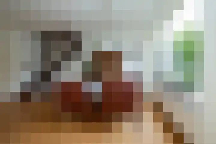 Lodewijk van Deyssellaan 57 Driehuis NH thumbnail 22