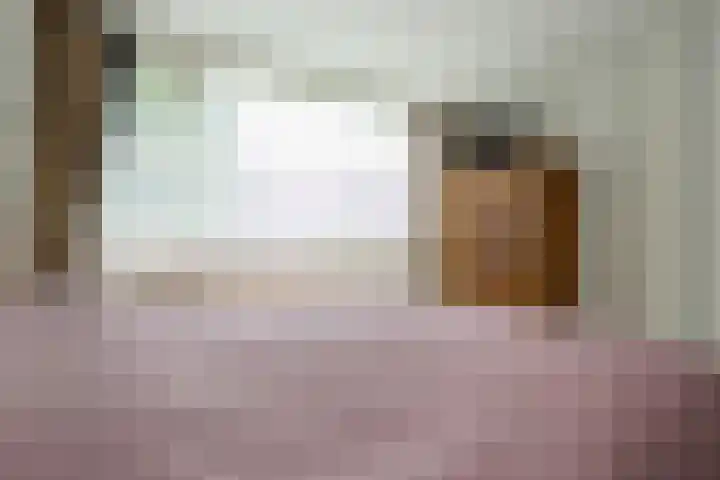 Lodewijk van Deyssellaan 57 Driehuis NH thumbnail 29
