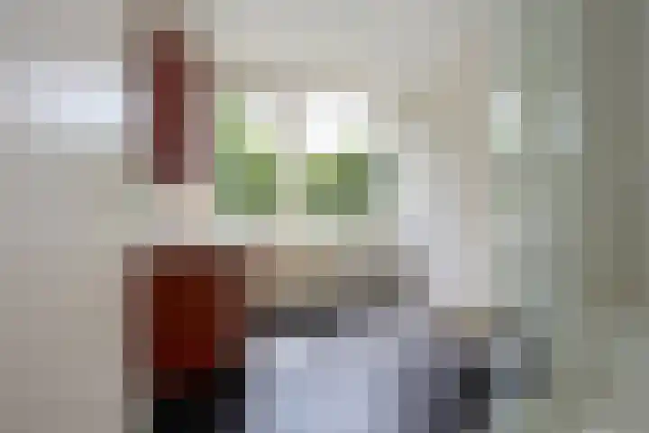 Lodewijk van Deyssellaan 57 Driehuis NH thumbnail 30