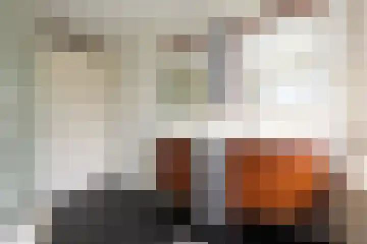 Lodewijk van Deyssellaan 57 Driehuis NH thumbnail 31