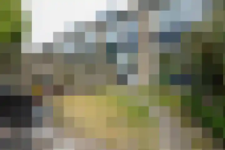 Lodewijk van Deyssellaan 57 Driehuis NH thumbnail 48