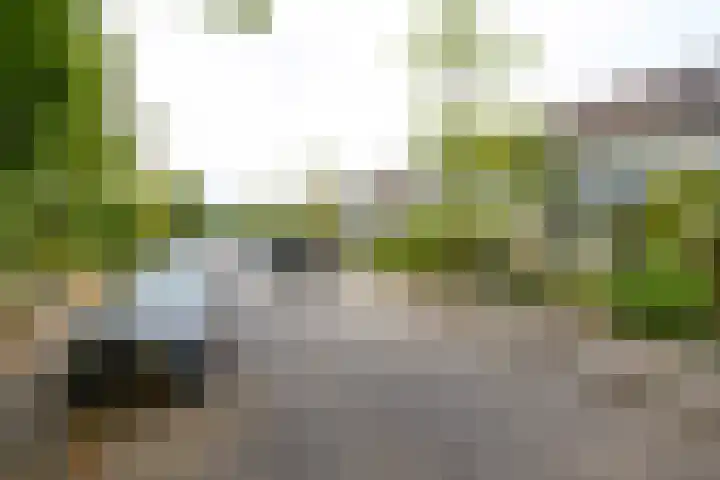 Lodewijk van Deyssellaan 57 Driehuis NH thumbnail 7