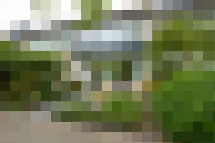 Lodewijk van Deyssellaan 57 Driehuis NH thumbnail 9
