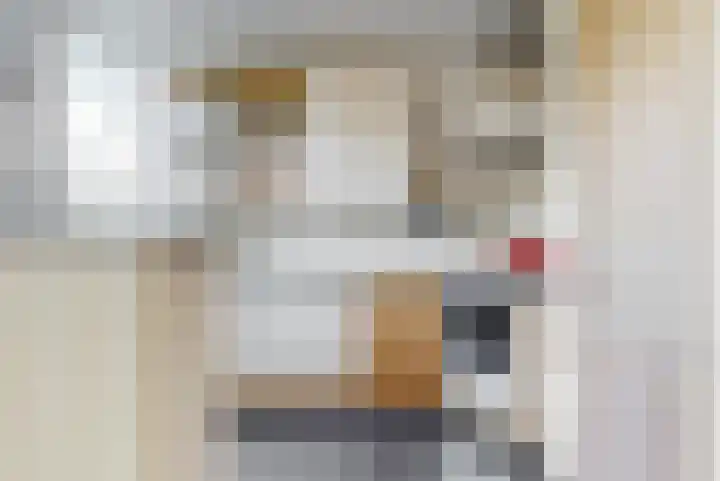 Lodewijk van Deyssellaan 65 Driehuis NH thumbnail 11